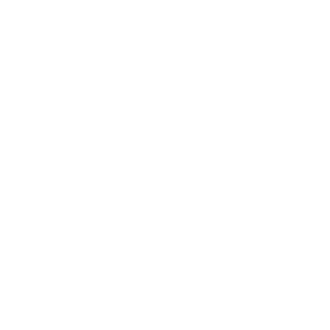 Calzado Zully